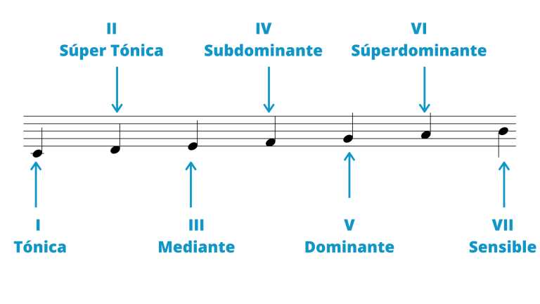 Los grados de las escalas musicales