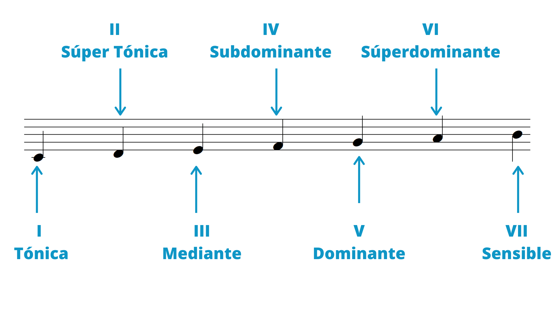 Escalas Musicales ¡apréndelas Todas En 7 Pasos